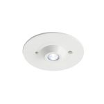 Ansell LED Noodverlichting Raven Publieke Ruimte Wit 3W 128lm 43D - 865 Daglicht | 110mm - IP65 - 3 uur Noodverlichting - Testknop