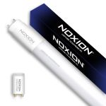 Noxion Avant LED Buis T8 Extreme (EM Mains) High Output 17W 2700lm - 865 Daglicht | 150cm - Vervangt 58W