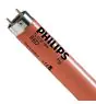 Philips MASTER TL-D 18W - Rood | 60cm